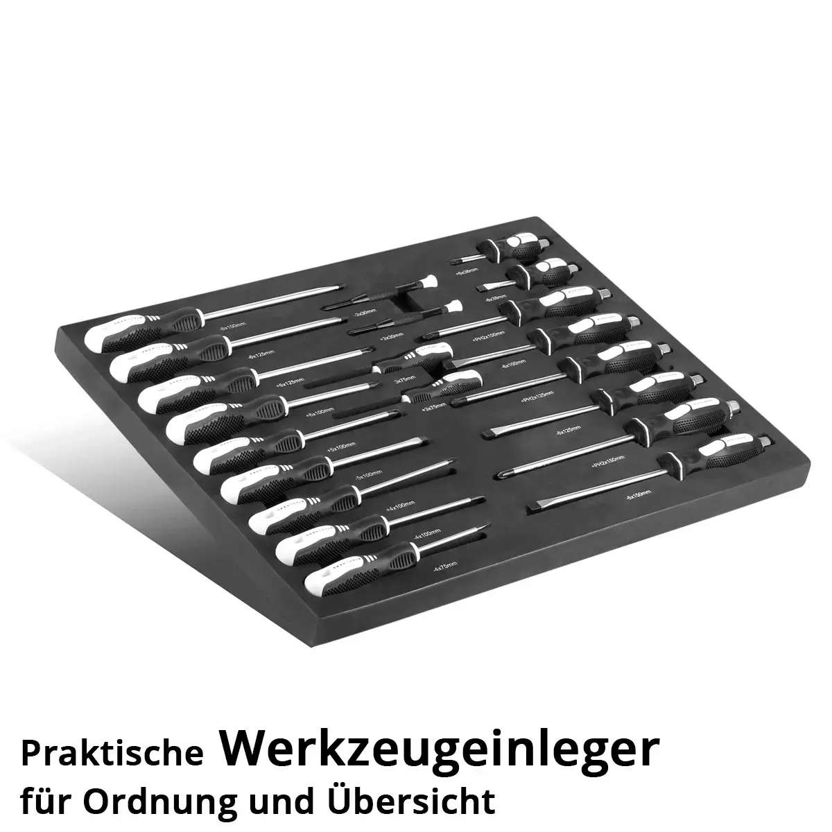 werkzeugeinlage-21-teiliger-schraubendreher-satz3.webp