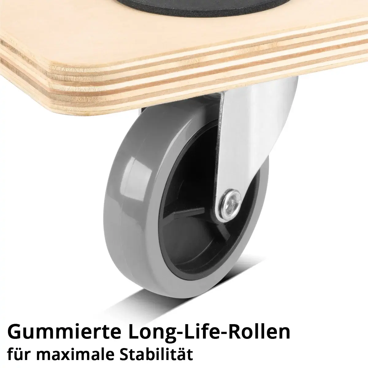 rollwagen-transportwagen-rollbrett-plattformwagen-transportroller-handgriff-trs250st2.webp