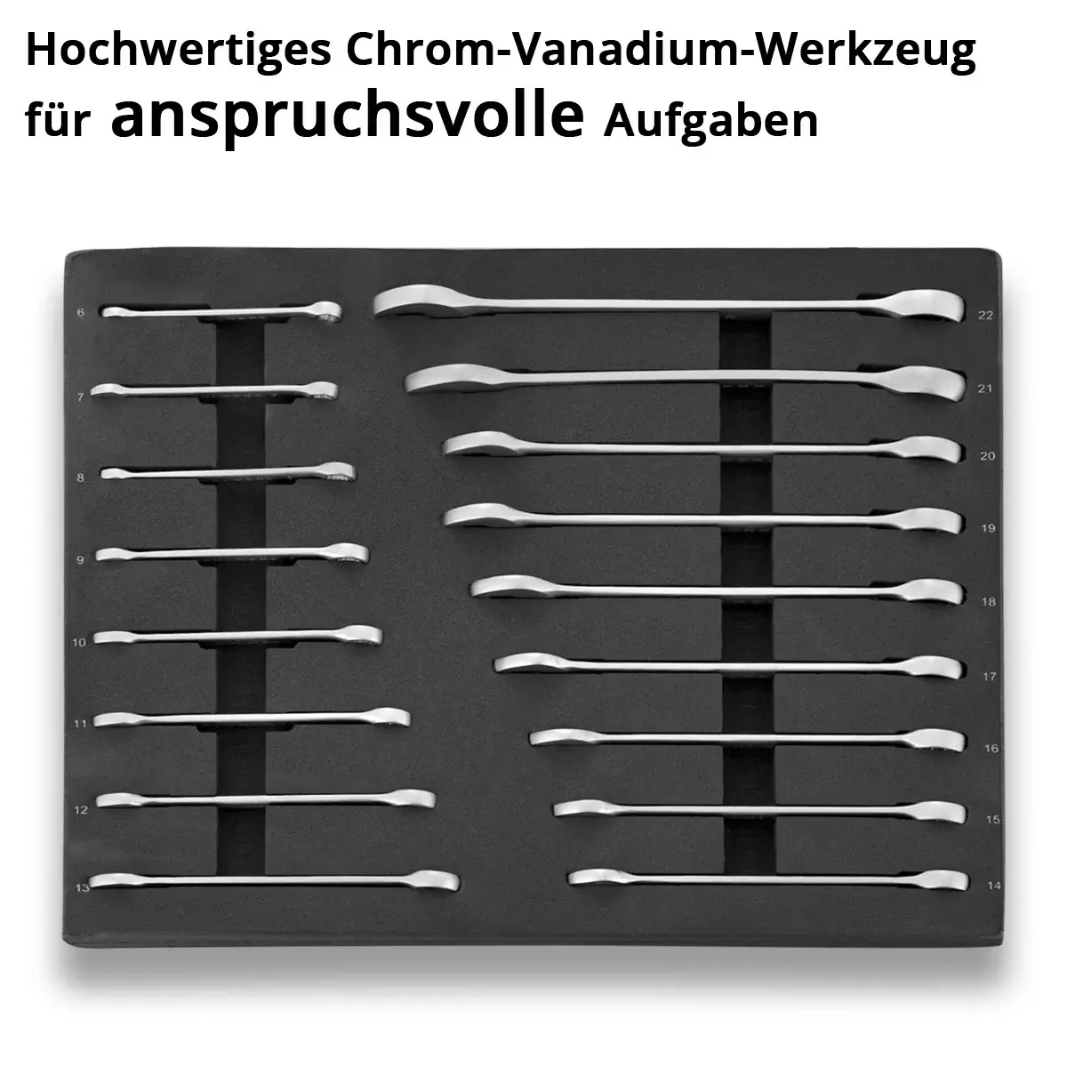 werkzeugeinlage-17-teiliger-schraubenschluessel-satz-6-222.webp